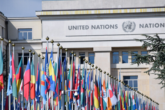 United Nations Headquarters Child Help Foundation
