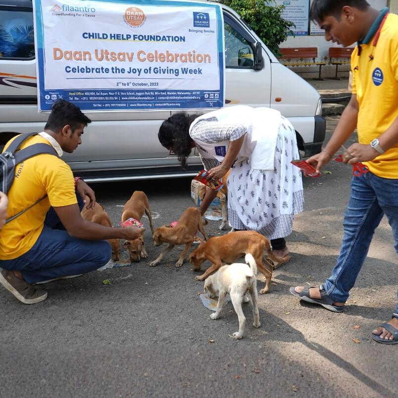 Child Help Foundation Volunteers feeding animals